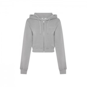 Hanorac cu Gluga Trapstar Dama TS-Star Silver Satin Applique Hoodie Gri Romania | EA65-490