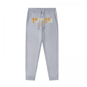 Pantaloni Trapstar Barbati It’s a Secret Streetwear Gri Romania | RS53-899