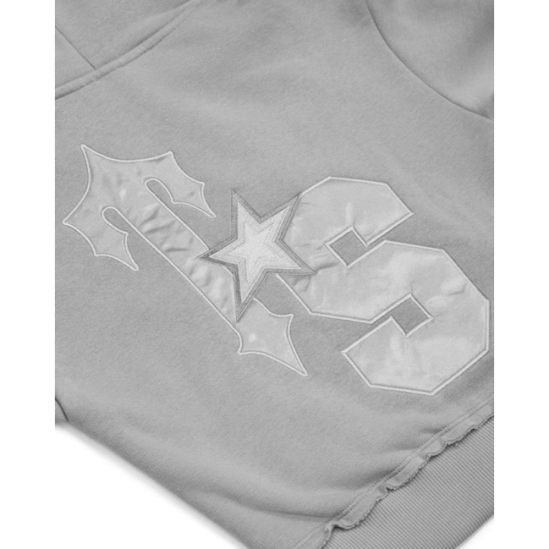 Hanorac cu Gluga Trapstar Dama TS-Star Silver Satin Applique Hoodie Gri Romania | EA65-490